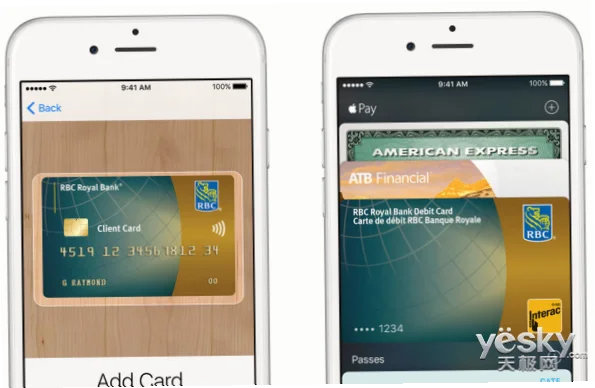 加拿大看球用Apple Pay：轻松支付，畅享赛事